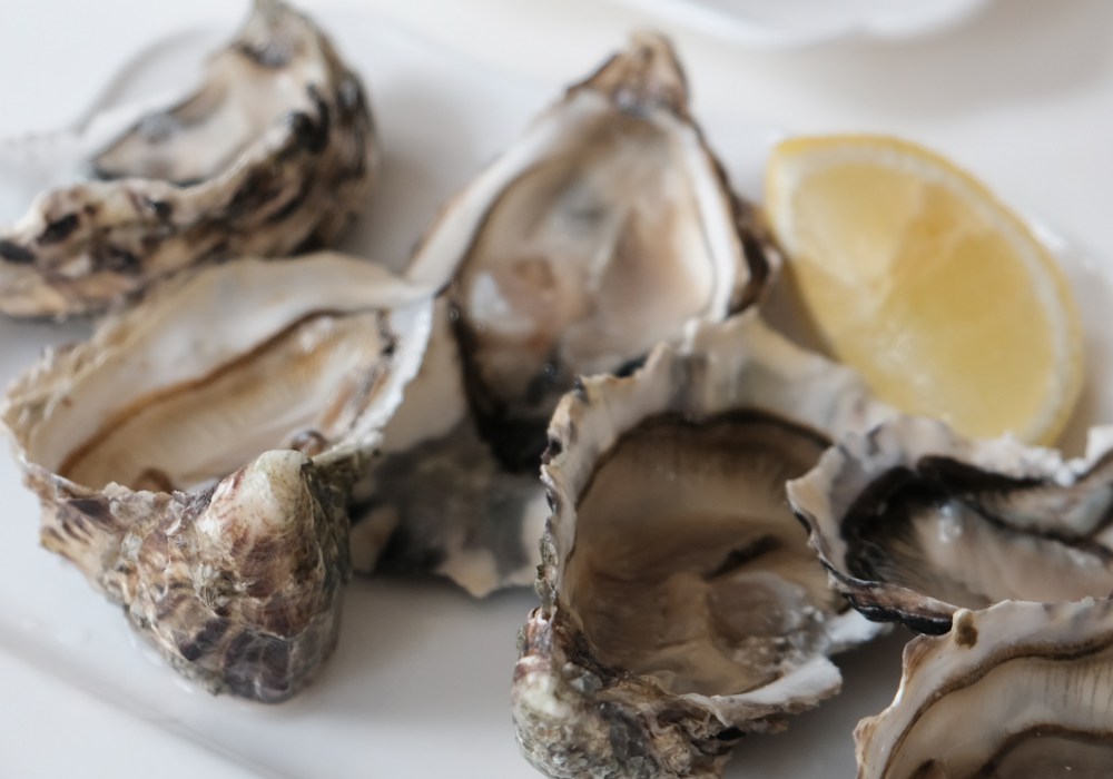 best food for mens health oyster - 有助男性健康的6种食物