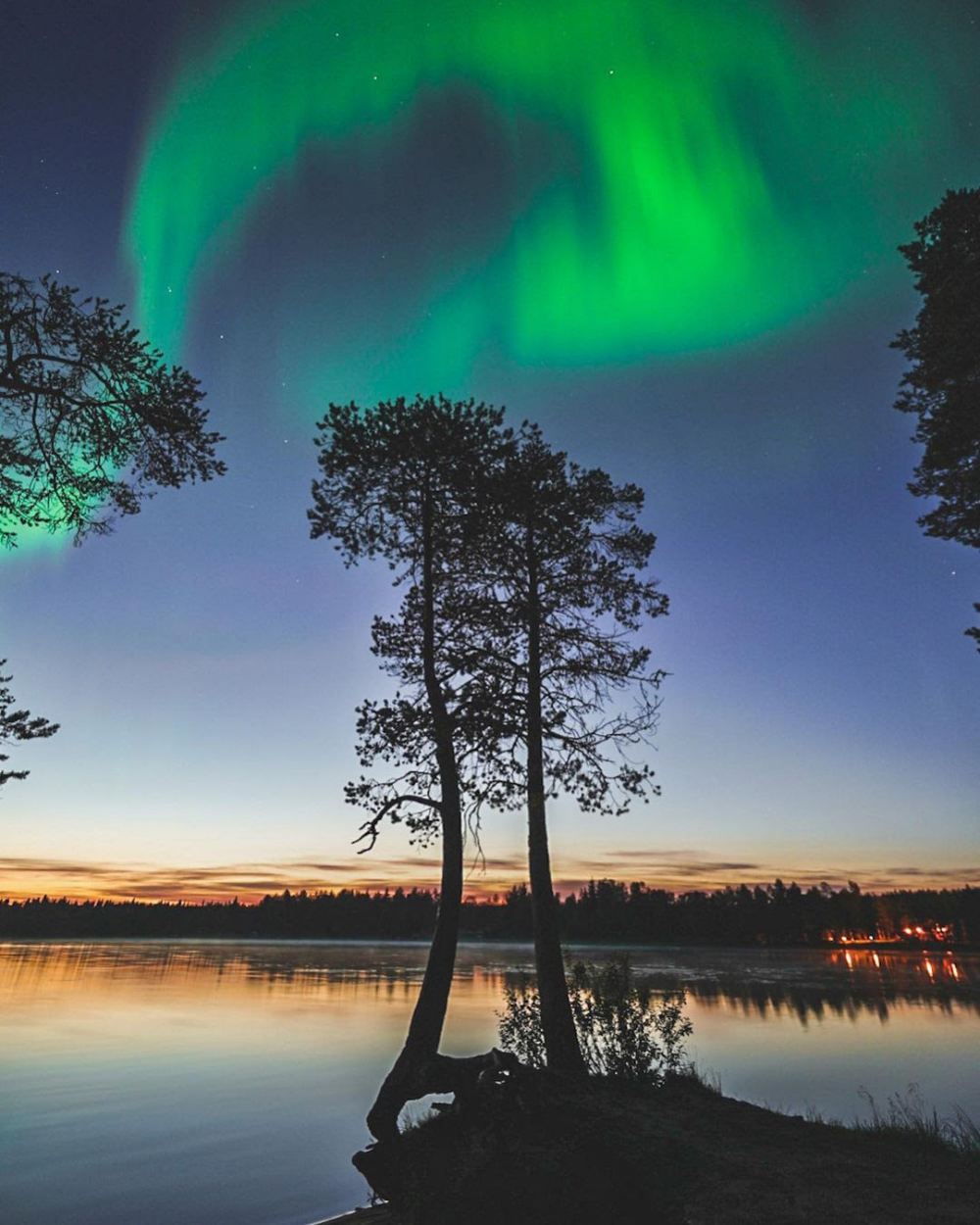 a crab pincer northern lights over a tree in a lake - 带上你最爱的人到芬兰Rovaniemi看浪漫的北极光！