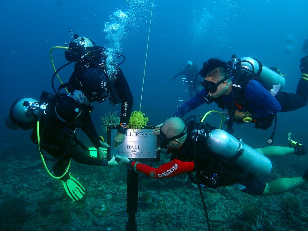 Installation of BALL Reef metal plate - BALL Watch 在沙巴州展开 Adopt-A-Reef 海洋保护活动