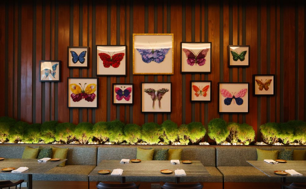 Hyatt Centric KK Framed papercuts of butterflies at ON22 by Raku Inoue - 最新 Hyatt Centric Kota Kinabalu 酒店，7大重点让人瞬间爱上