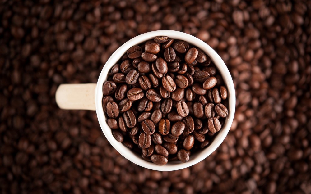 coffee bean - Coffee Master Masahiro Kanno Shares the Aesthetic of the Coffee 3.0