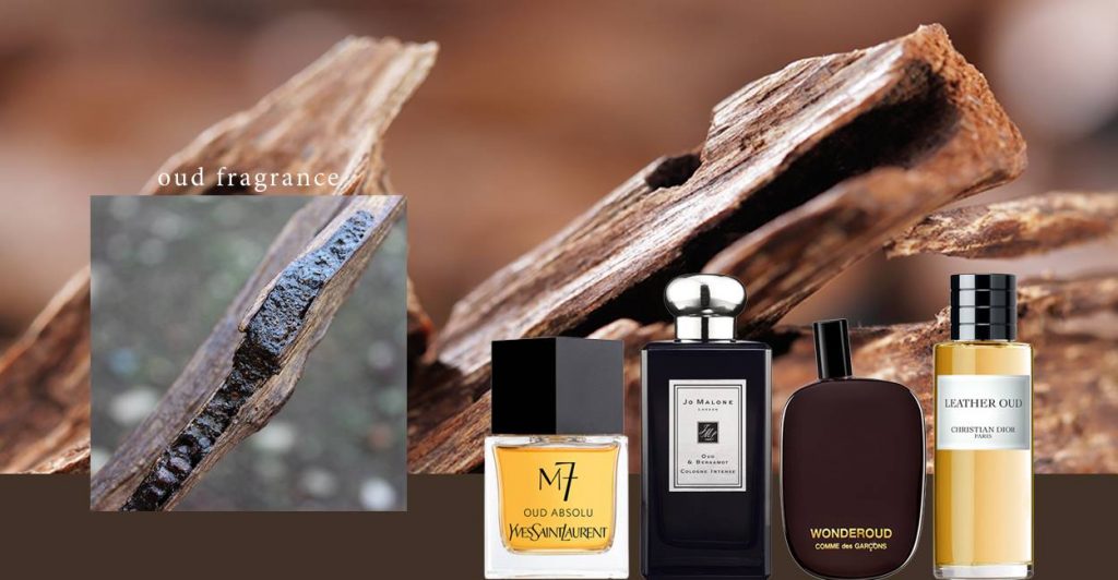10 best oud fragrance for mens 1024x532 - Features
