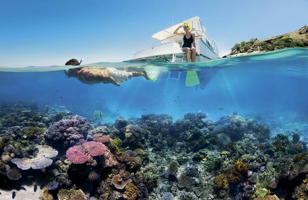 Sea Paradise Great Barrier Reef Diving - Sea Paradise：畅游大堡礁海洋乐园