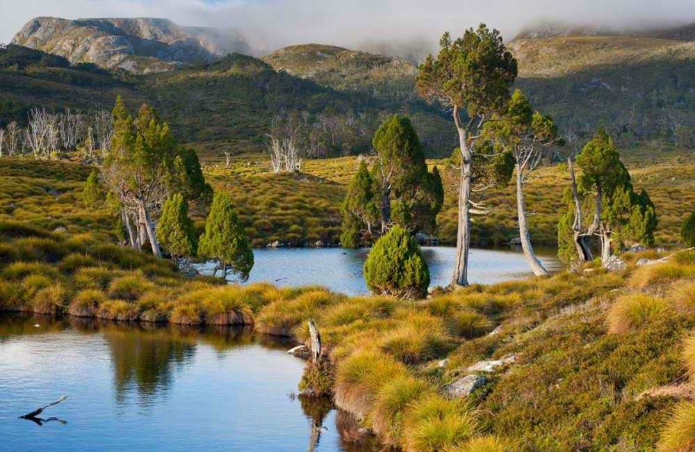 Cradle Mountain Lake St Clair  - 期待你爱上的心形岛屿：Australia Tasmania