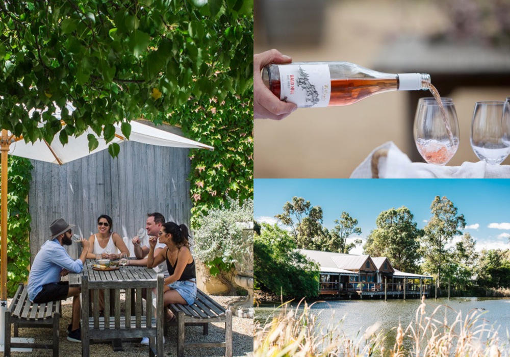 New South Wales biodynamic winery - 2020 的惬意慢游：到 NSW 体验葡萄酒庄之旅