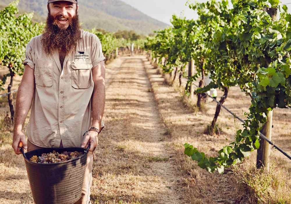 nsw biodynamic wineries krinklewood 02 - 2020 的惬意慢游：到 NSW 体验葡萄酒庄之旅