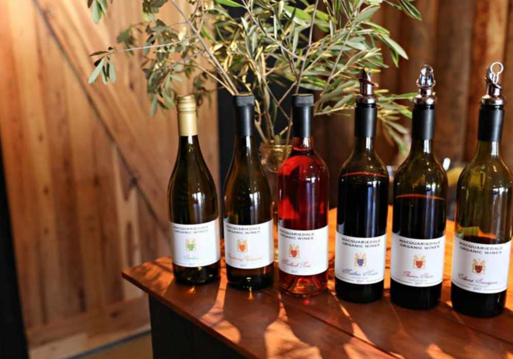 nsw biodynamic wineries macquriedale 01 - 2020 的惬意慢游：到 NSW 体验葡萄酒庄之旅