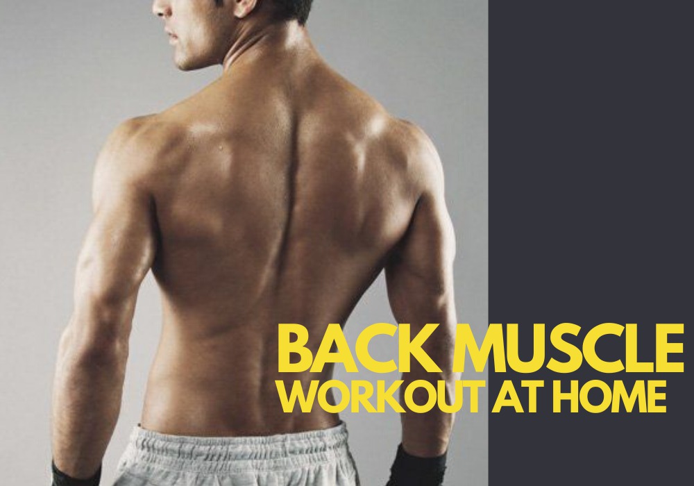 BACK MUSCLE WORKOUT AT HOME - 无器材也可锻炼背肌！5个零器材训练动作
