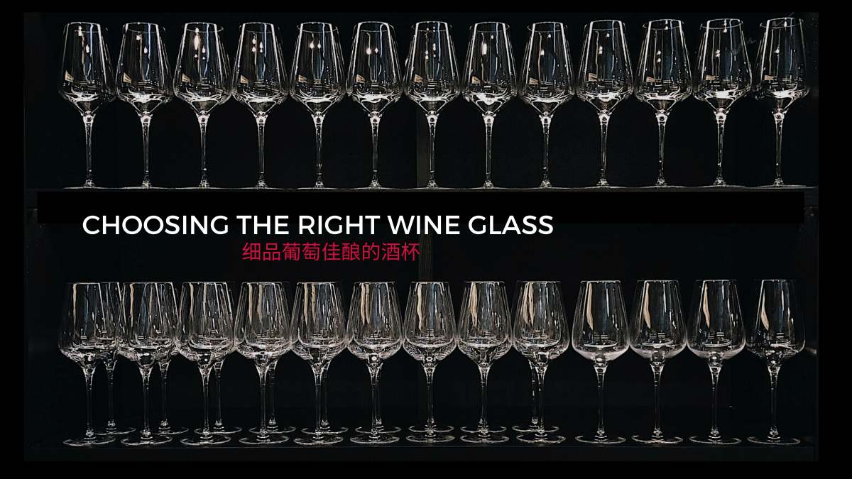 Wine Glasses - 细品葡萄佳酿，用对酒杯很重要