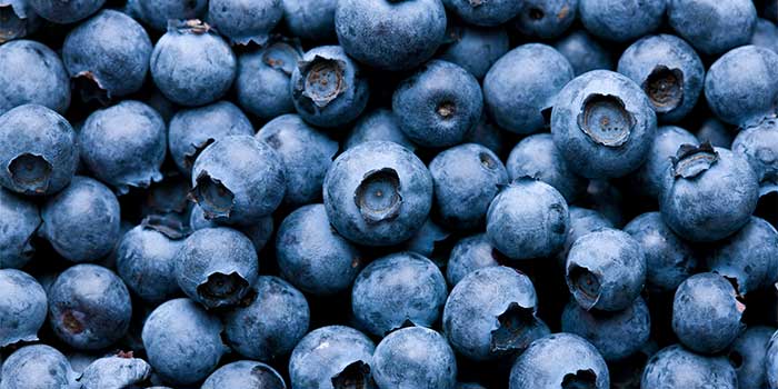 blueberry - 增强免疫力的7种超级食物