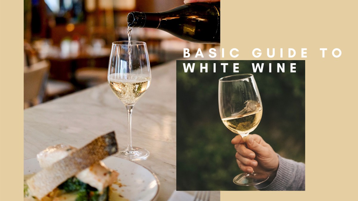 White wine 101 - 葡萄酒攻略: 5种入门必尝的白葡萄酒 (附餐酒搭配建议)
