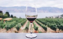 get to know biodynamic wine 240x150 - 认识自然动力法葡萄酒