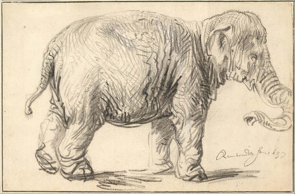 rembrandt harmenszoon van rijn an elephant 1637 - K’s Art: 只有“逼真”的艺术才是好艺术吗？
