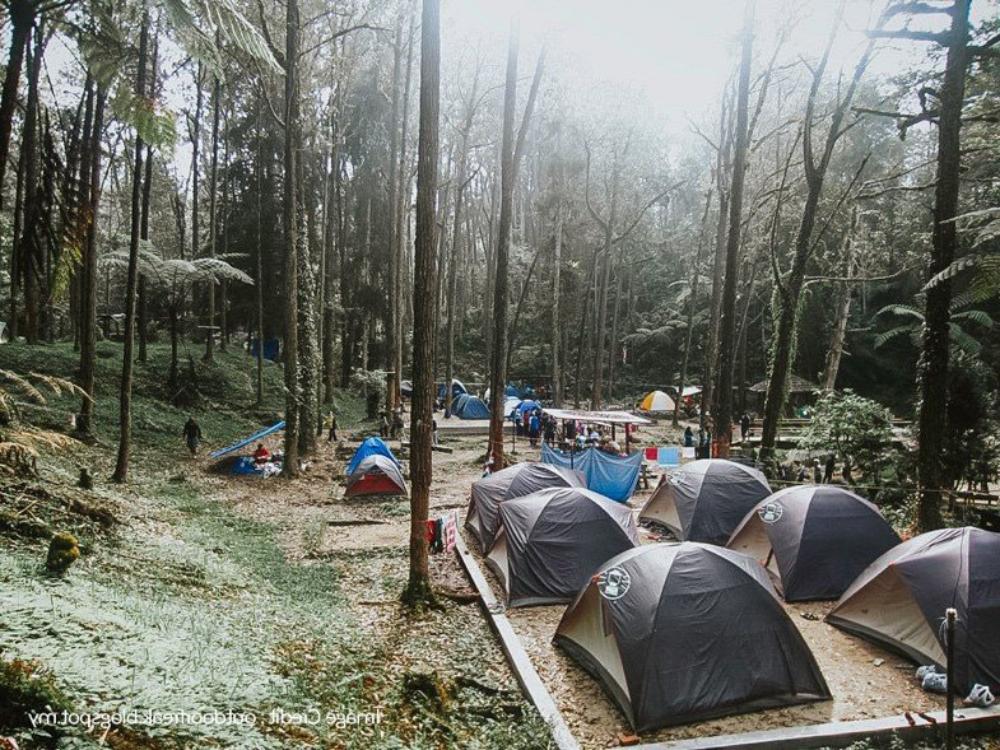 brinchang mountain 2  - 马来西亚哪里可以露营？介绍5个最佳露营地点！