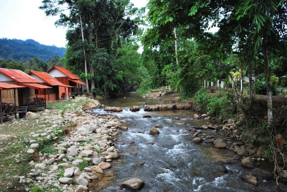 janda baik 1 - 马来西亚哪里可以露营？介绍5个最佳露营地点！