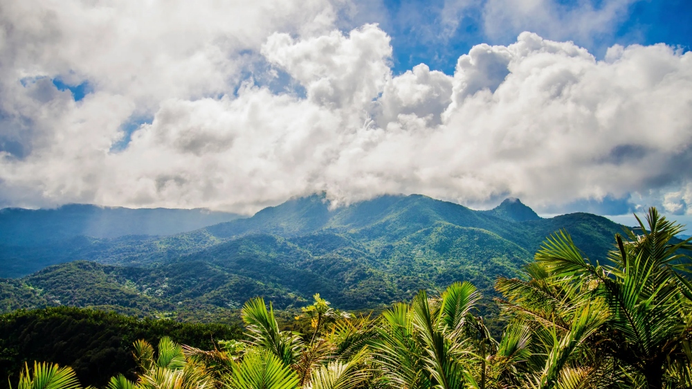 el yunque national forest puerto rico 3 - 2022年值得一探的6个国外旅游区