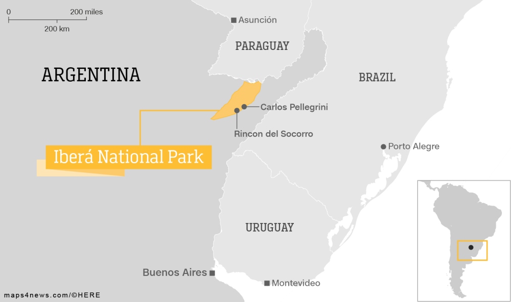 iberá park argentina 3 - 2022年值得一探的6个国外旅游区
