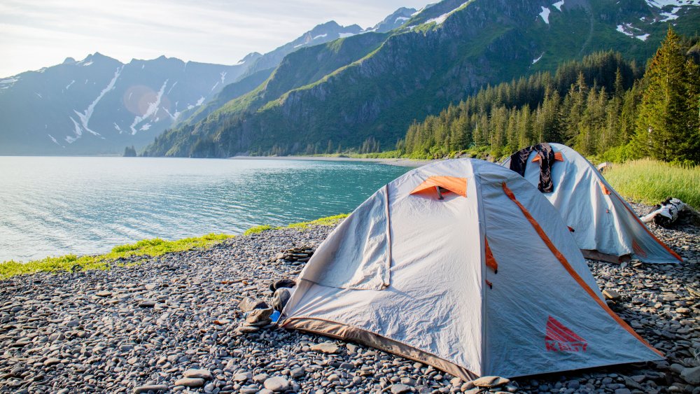camping tent - 露营新手：如何挑选帐篷、睡袋等4大必备装备