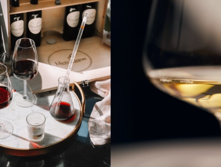 introduction of wine elements 740x560 - 葡萄酒指南：单宁、酸度、甜度…认识葡萄酒要素