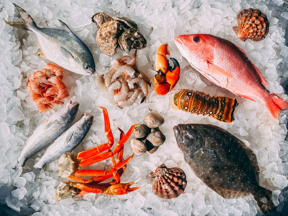 white meat seafood - 吃红肉对健康不好？认识红肉、白肉的差异和营养价值