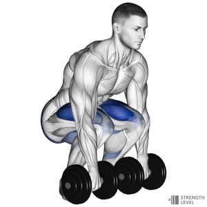 dumbbell deadlift-pic - KINGSSLEEVE